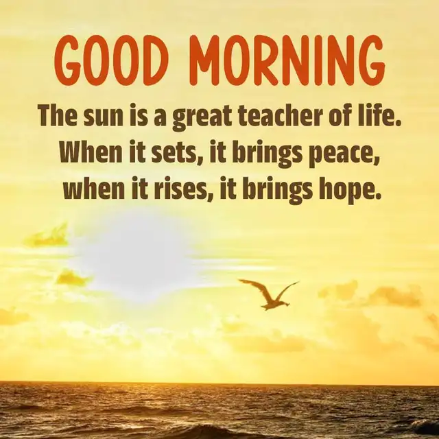 Good Morning WhatsApp Status for Friends