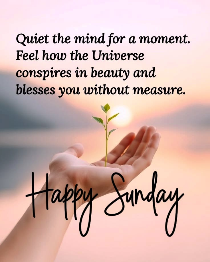 Motivational Sunday Blessings
