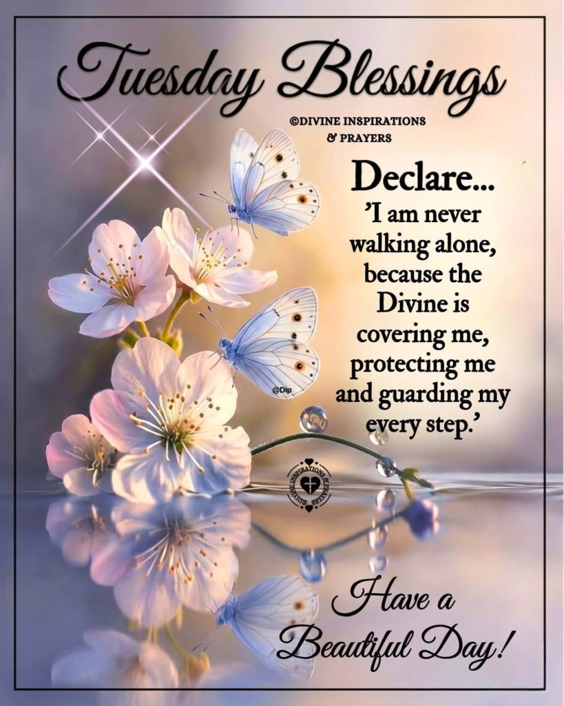 Tuesday Good Evening Blessings